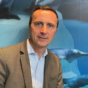 Laurent Tareau